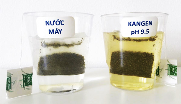 Chiết xuất trà xanh của nước máy và nước Kangen 9.5