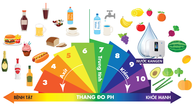 Thang đo độ pH ở các loại thực phẩm
