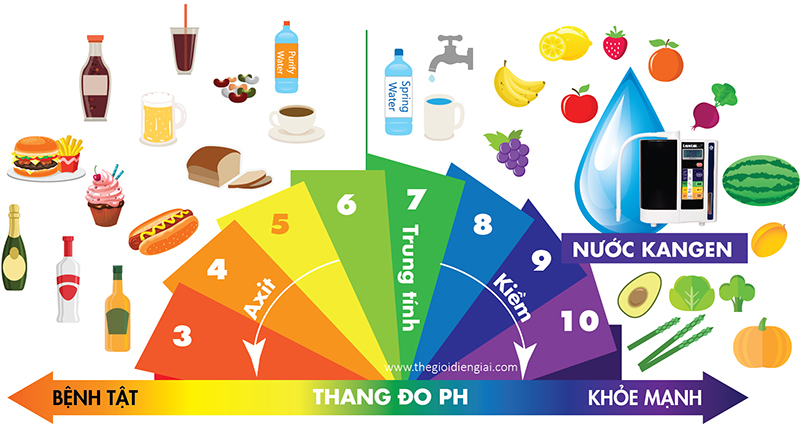 Bảng phân chia các loại thực phẩm theo độ pH